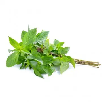 Hot Basil Leaves 100g Thailand